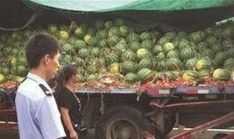 甘谷网红吃瓜事件真相揭秘,揭秘背后真相与争议