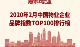 物业赚钱爆料案例视频,爆款案例视频深度解析