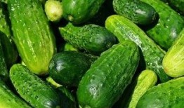 吃瓜群众黄瓜片免费,夏日清凉新选择