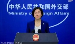 外交部最新爆料信息,国际风云变幻背后的真相披露！”