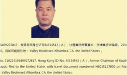 娱乐圈董事长爆料,揭秘明星背后的真相与秘密