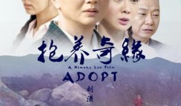 抱养情缘在线观看,命运交织的温馨家庭故事