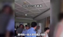 蔡天凤知情人爆料视频,知情人爆料视频曝光惊人内幕