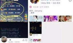 仙家八卦爆料视频大全下载,视频大全下载背后的神秘世界