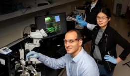 医生爆料脑芯片视频,医生亲述前沿科技震撼视频背后的真相