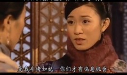 后宫的女人在线观看,宫廷权谋与爱恨情仇的纠葛