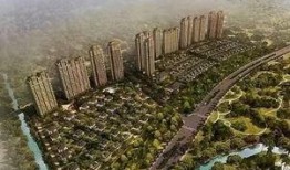 攀枝花西海岸爆料事件视频,真相与争议交织