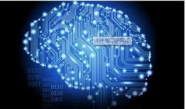 医生爆料脑芯片视频,医生亲述前沿科技震撼视频背后的真相