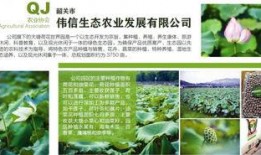 娱乐吃瓜的宣传策略,吃瓜群众必看的幕后大戏！