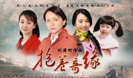 抱养情缘在线观看,命运交织的温馨家庭故事