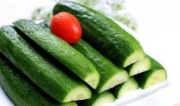 吃瓜群众黄瓜片免费,夏日清凉新选择