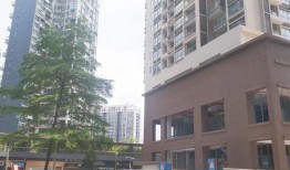 家园小区爆料视频大全,揭秘社区生活点滴