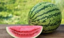 瓜洲免费吃西瓜,免费西瓜等你来尝