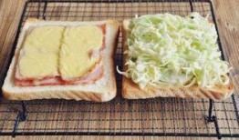 日本爆料三明治视频,背后隐藏的惊人真相