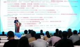 胡桃新衣服爆料视频大全,时尚穿搭视频全集一览