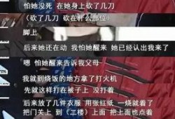 景鑫独家爆料视频大全集,视频大全集深度解析