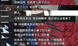 景鑫独家爆料视频大全集,视频大全集深度解析