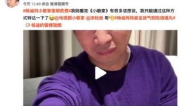 杨迪爆料妈妈过年视频,温馨瞬间引网友热议