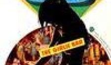 酒帘 在线观看,在线观看，品味千年酒文化的魅力之旅