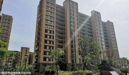 临沂经开区爆料案件最新,真相渐明，疑云散去