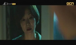 种子片在线观看,在线观看种子片，解锁生命之源