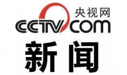 央视网新闻爆料电话,揭秘新闻爆料电话背后的真相