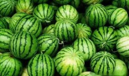 哪些网站可以免费吃瓜,网络上的瓜田乐园