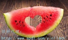 一起吃瓜一起免费吃瓜,共享免费吃瓜盛宴