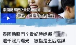 泰国王室最新爆料视频,最新爆料视频曝光王室不为人知的一面