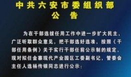 六安媒体爆料新闻视频,最新新闻视频引发社会关注