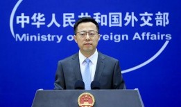 外交部最新爆料信息,国际风云变幻背后的真相披露！”