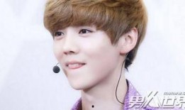 爆料鹿晗张艺兴视频合集,视频合集回顾