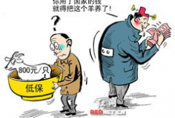 低保户老头爆料视频大全,民生痛点直击人心