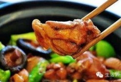 黄焖鸡爆料视频大全最新,揭秘美食背后的故事与真相
