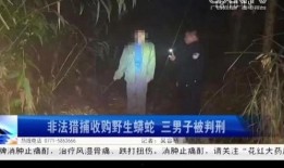 梧州爆料事件最新情况,最新进展揭示惊人内幕