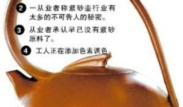 紫砂爆料 新闻视频播放,揭秘新闻视频背后的真相与内幕