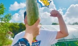 所有吃瓜网红是谁,全网热议的“吃瓜网红”阵容大起底